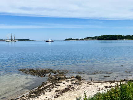 24-06-20 11-55-56 9701